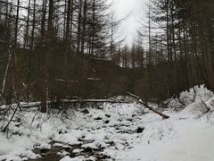 -秦岭风景区