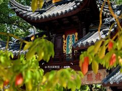 -西园戒幢律寺