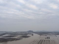 -北岐滩涂