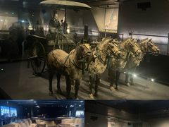 -秦始皇帝陵博物院-丽山园