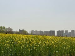 -西海岸生态观光园