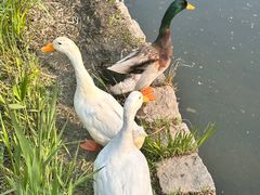 -三里河公园