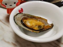 青口贝-七欣天(浦东羽山乐坊店)