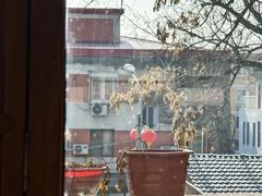 -小吊梨汤·北京菜(香山店)