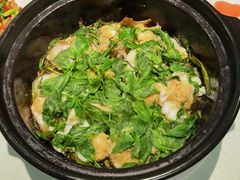 金不换焗笋壳鱼-申粤轩酒楼·三十年粤菜经典(丁香花园店)