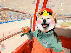 -长沙湘江冰雪世界