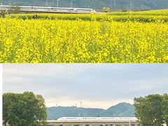 -光明小镇欢乐田园