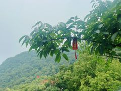 -天津盘山风景名胜区