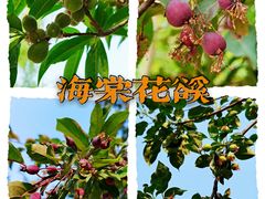 -元大都城垣遗址公园