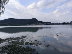 -鸣鹤古镇