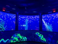 -沈阳海洋探索中心