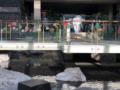 -和园景逸大酒店朗月汤泉