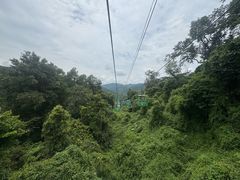 -野象谷景区