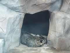 -青藏高原野生动物园