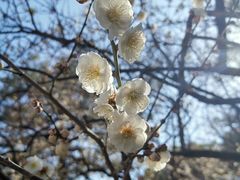 -热田神宫