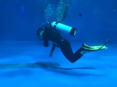 -华夏文旅海洋公园