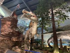 -湖南省地质博物馆