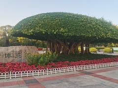 -南宁南湖公园