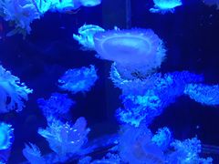 -多彩贵州城极地海洋世界