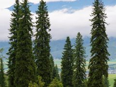-新疆那拉提国家旅游度假区