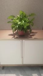 点击看大图 -漂亮妈妈通乳·塑形·产后恢复(奥体店)