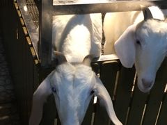 -上海大自然野生昆虫馆