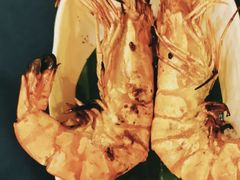 烤虎虾-月满港海鲜酒家