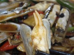-蛇口康乐快餐鱼仔档(翠苑小区店)