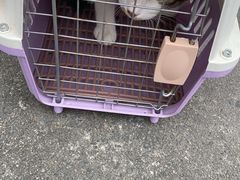 -艾吉宠物医院·疑难杂症转诊中心·猫友好(碧江路院)