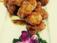 -宝发园名菜馆