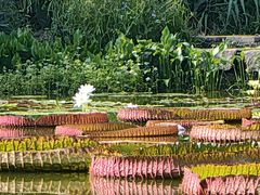 -国家植物园南园