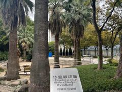 -苏州河梦清园环保主题公园