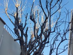 -辛庄国际文化艺术区