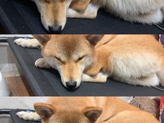 -About Bistro關於·泰式家庭料理