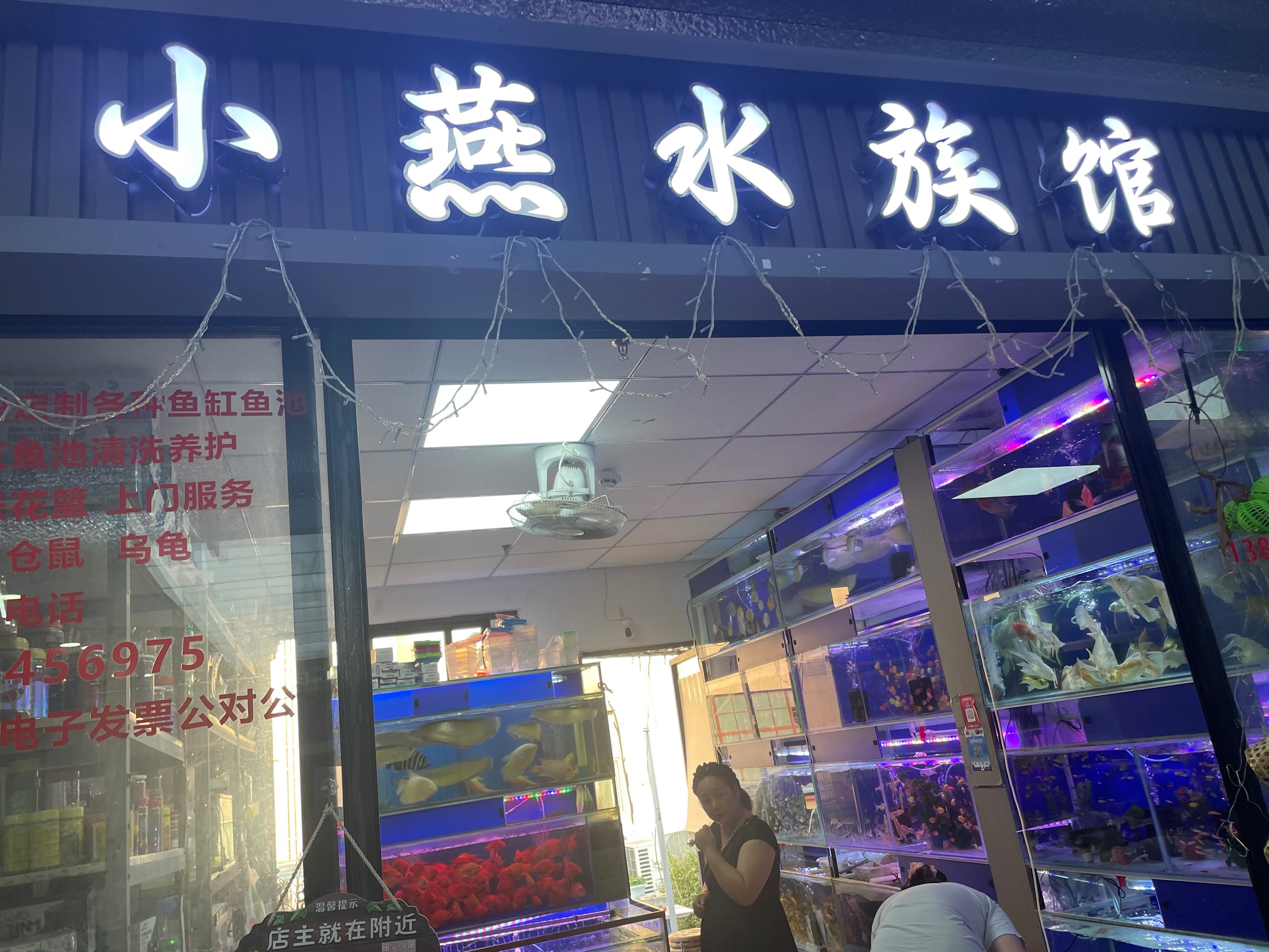 卖观赏鱼的店面装修图片