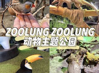 遛娃必去室内动物园！亲密接触哦！