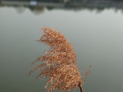 -长广溪湿地公园