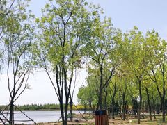 -东郊湿地公园