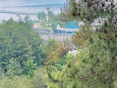 -千岛湖天屿景区
