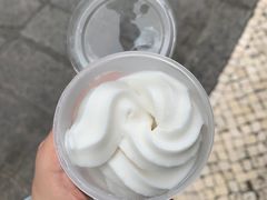 -洪馨椰子