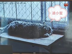 -青藏高原野生动物园