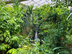 -呀路古热带植物园