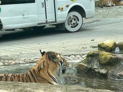 -栾川竹海野生动物园