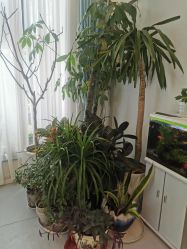 -康谛尔健康管理机构