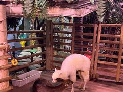 -正佳雨林生态植物园