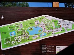 -杨柳青庄园