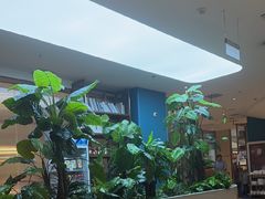 -悦海·家宴·冰花皮皮虾大锅贴(宝龙店)