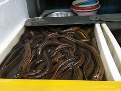 -岳各庄批发市场(西四环中路店)