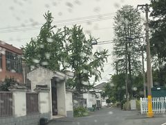 -径山花海