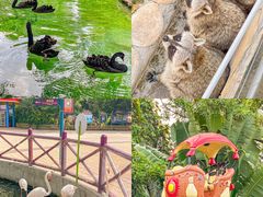 -灵玲国际马戏城